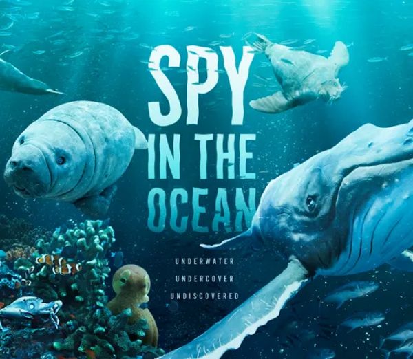 Spy in the ocean